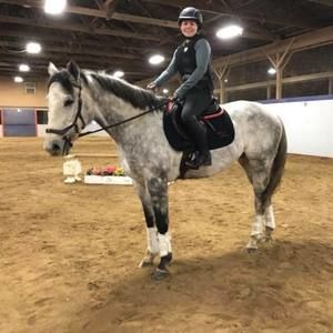 Meet your Posher, Taylor